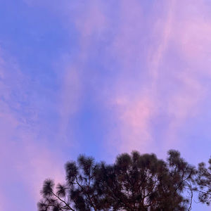 Meet your Posher, Reiko